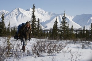 Into the Wild 3