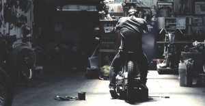 Video: Max Schaaf “Born Free 4”